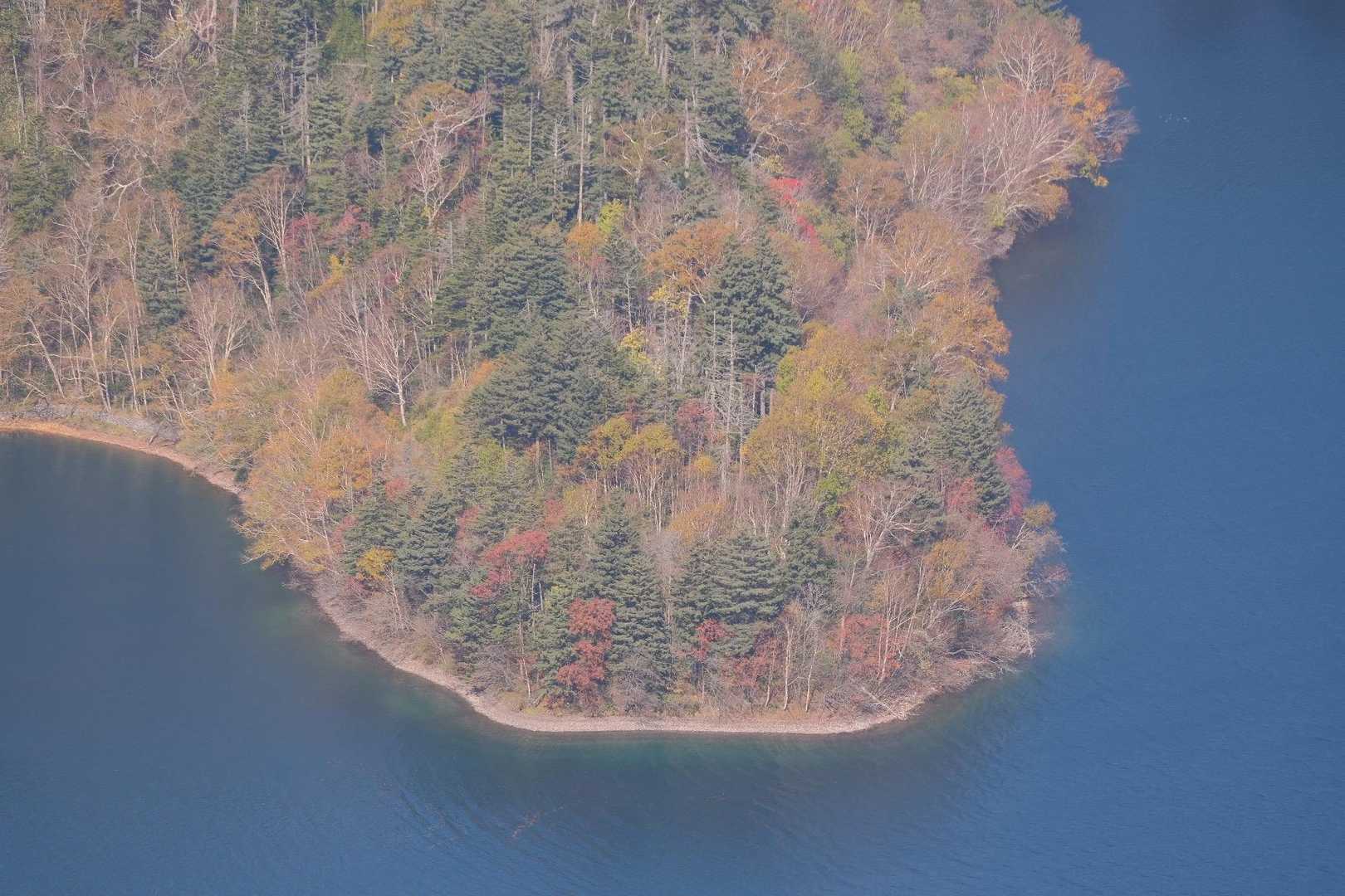 ここ綺麗だったなぁ🍁