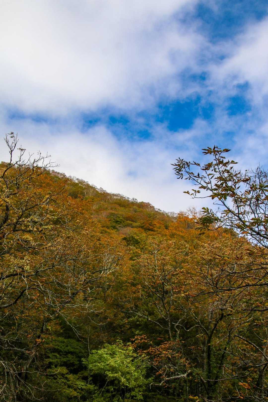 上信越自然歩道入口-中部北陸自然歩道入口-三国峠-長倉山- 往復コースの写真