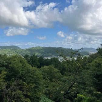 からの景色