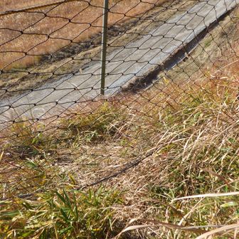鹿よけネットをくぐって車道へ降りる