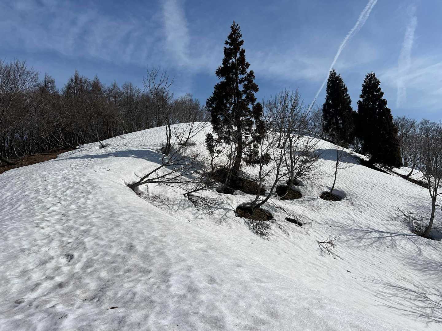 馬の背-蘇武岳 往復コースの写真