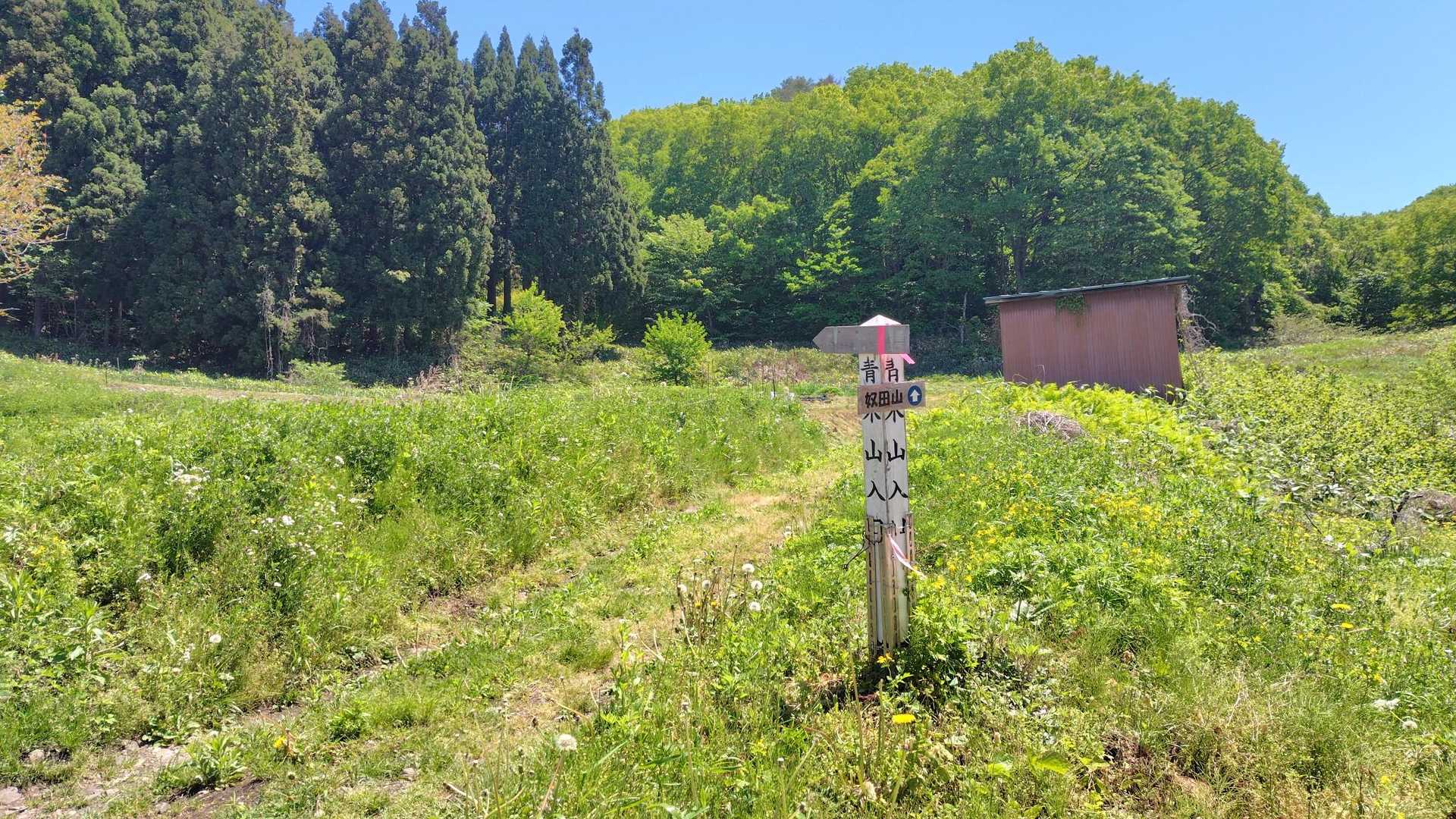 げざーん
クマの気配は全くなし
静かな山でした。