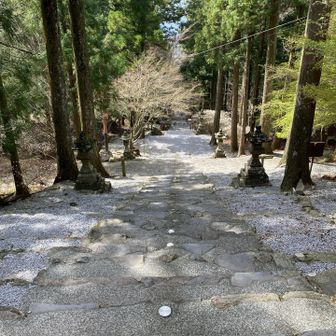 終わりそう…だったけど　まだまだ