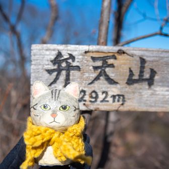 網代弁天山・網代城山 弁天山