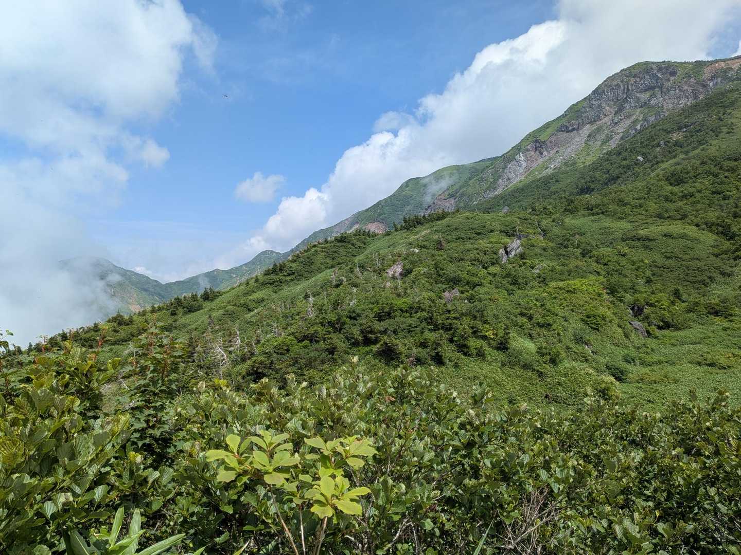 振り返って