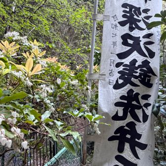 静かな森の中、沢が流れて水の音が心地よい😊