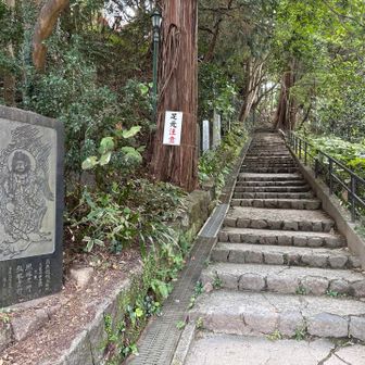 この階段もなかなか💦