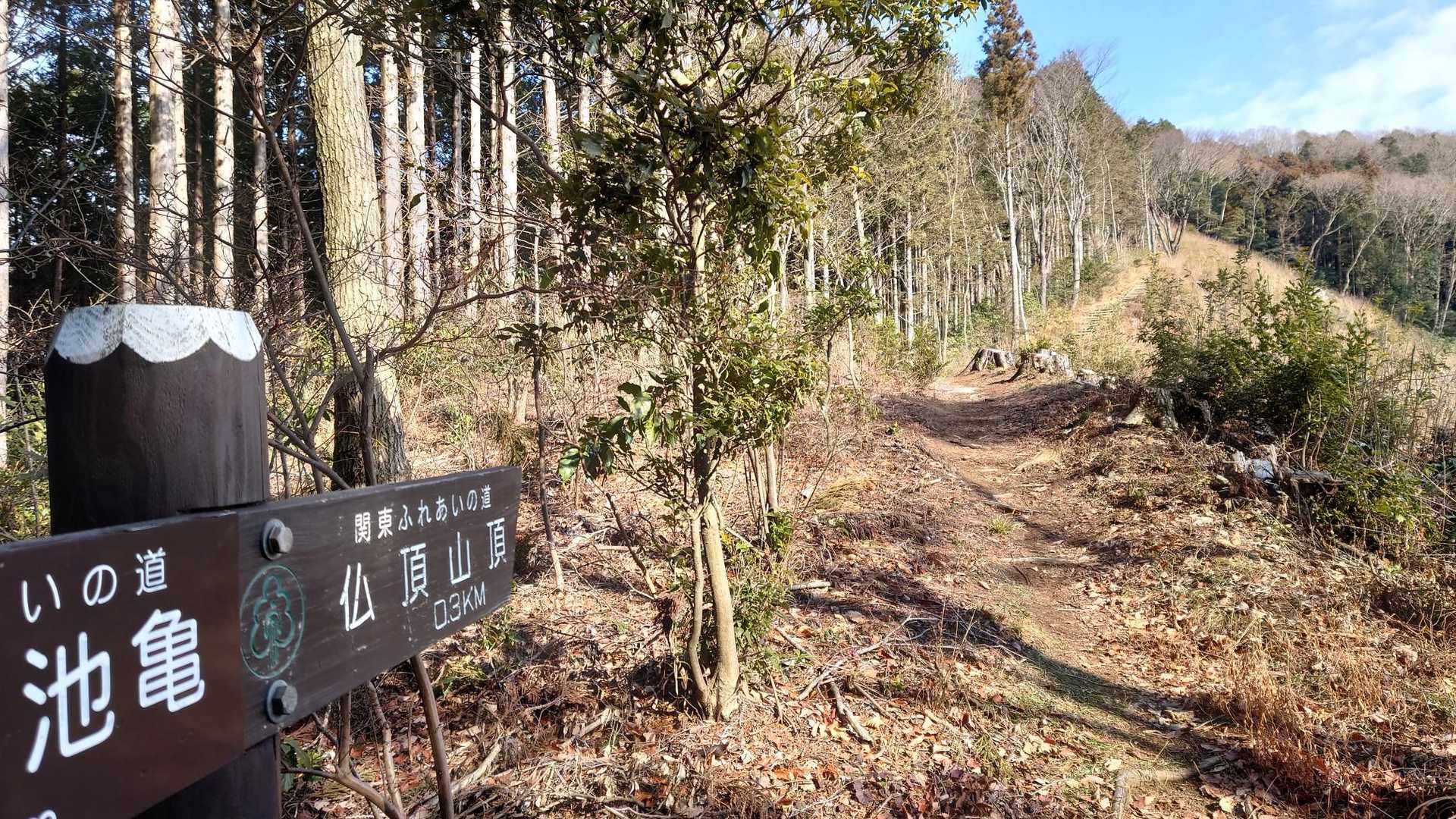 高峯-奈良駄峠-仏頂山 往復コースの写真