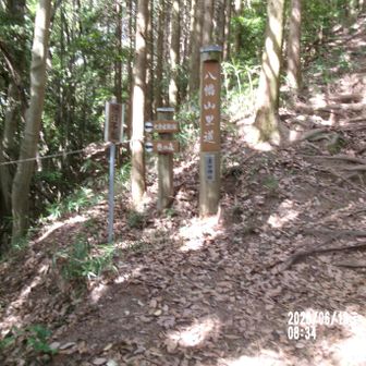 八幡山里道・大倉屋屋敷・憩いの村方面分岐(憩いの村方面は通行止め)