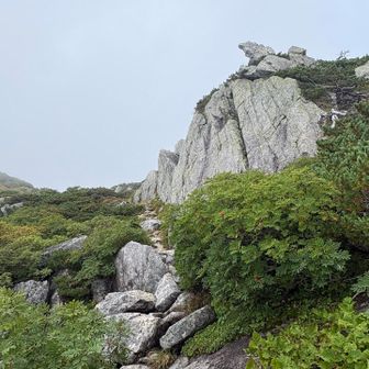岩と低木の配置が本当に日本庭園のよう☺️