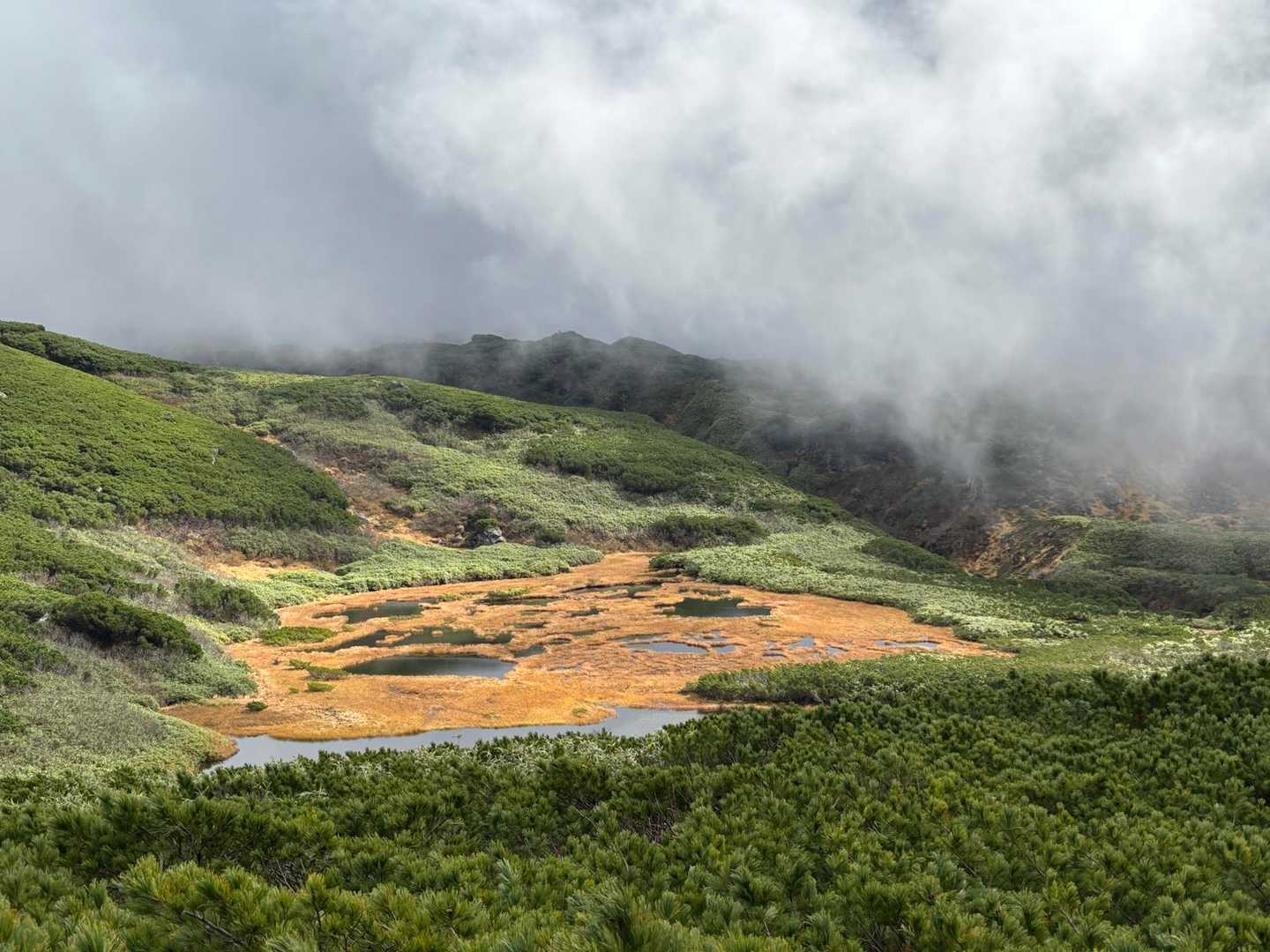 愛山渓登山口-沼ノ平-1591ピーク 往復コースの写真