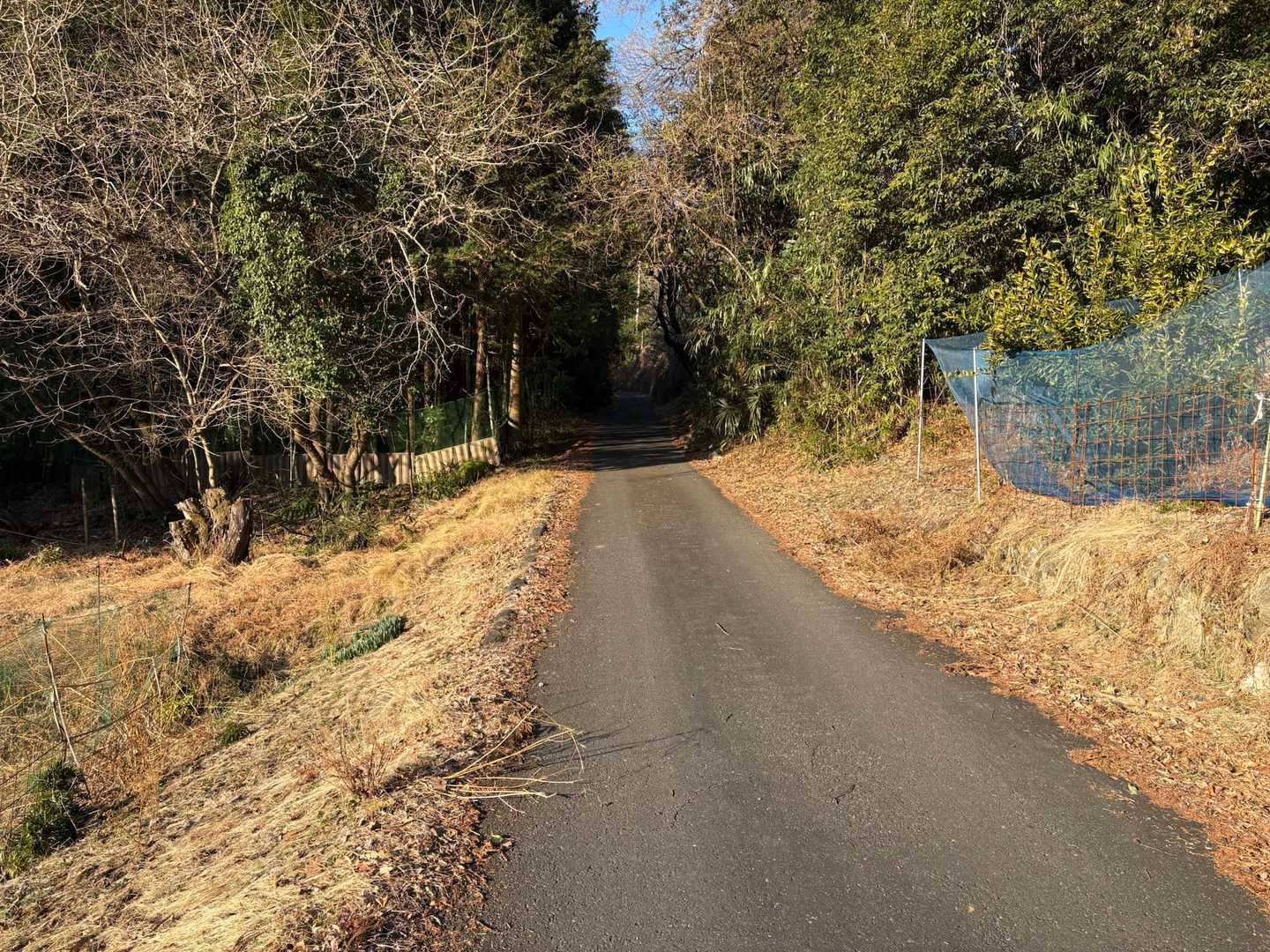 道路と民家が現れる🏠