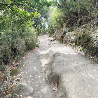 ロープウェイ山頂駅まで10分弱らしい