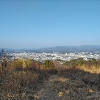 このエリアはこういう画角でしか撮影できない。