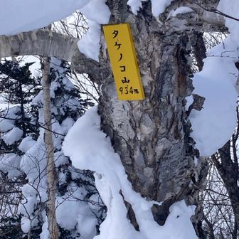 タケノコ山の最新登山情報 / 人気の登山ルート、写真、天気など