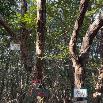 なんで！沢山の標識🤭4つ