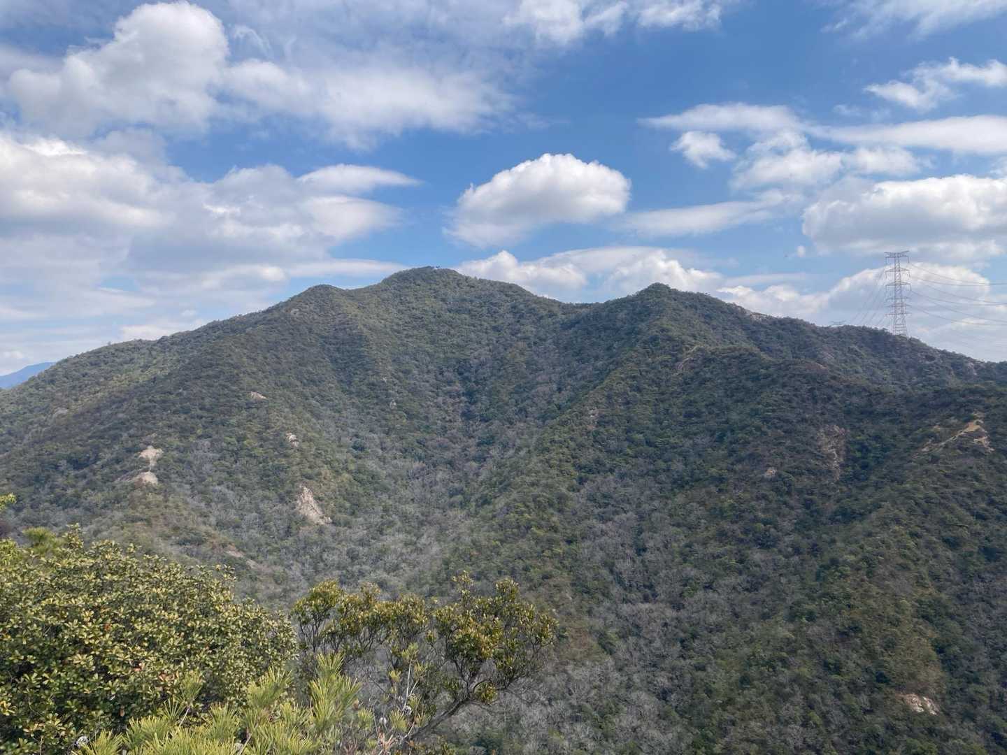 山口登山口-大坂山取付き-P186-P320-大坂山-背山 周回コースの写真