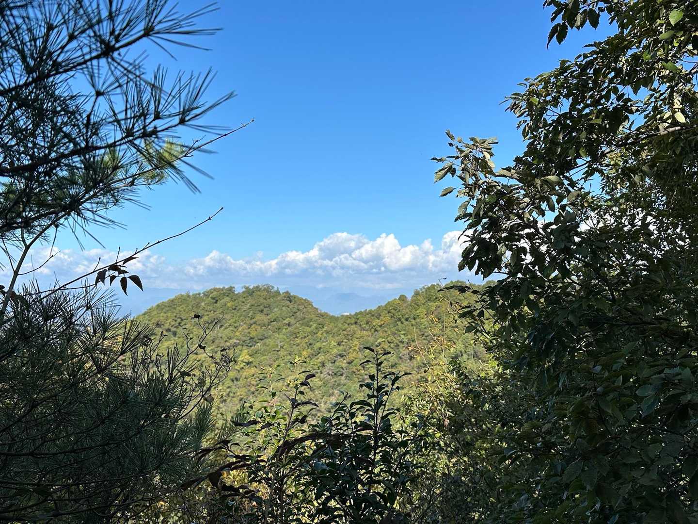 金毘羅山⛰️に向かう途中の景色⛰️