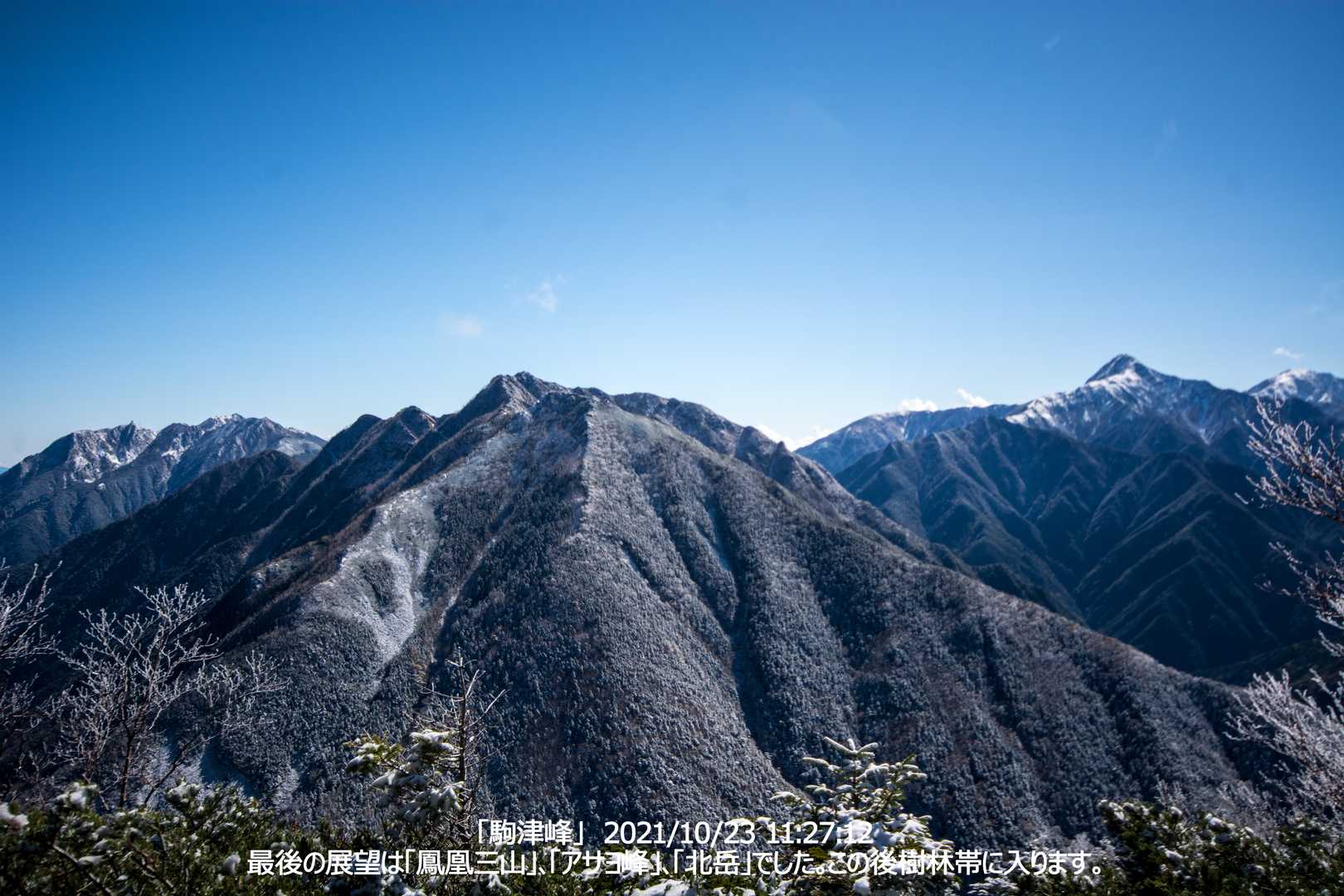 北沢峠-双児山-駒津峰-仙水峠-北沢峠バス停 周回コースの写真