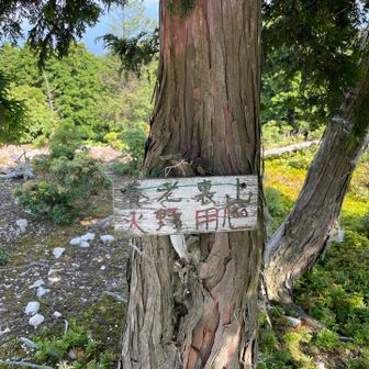 裏山の山頂
