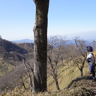 今日は短パン🩳の下に履いたスパッツが突っ張って歩きにくいんだって💦
スパッツではなく足が進化したのかなぁ🤭