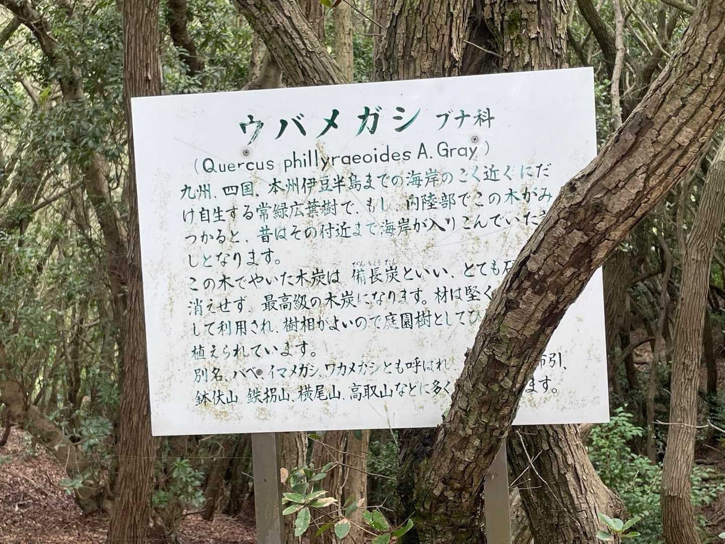 綺麗になりました✨