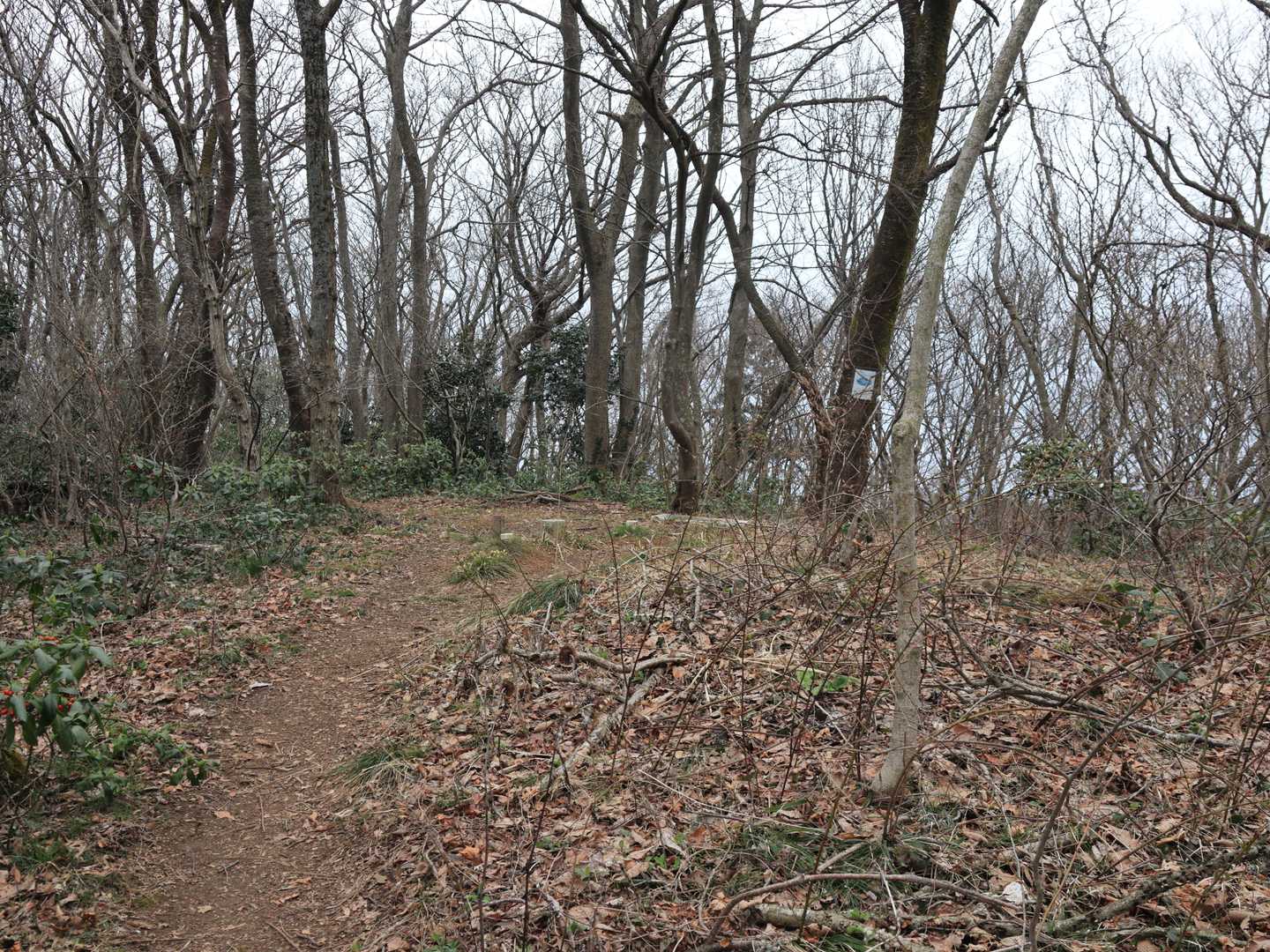 おっ、ついに来たぞ福井山😆
地味だけど、いいってことよ。お昼休憩。