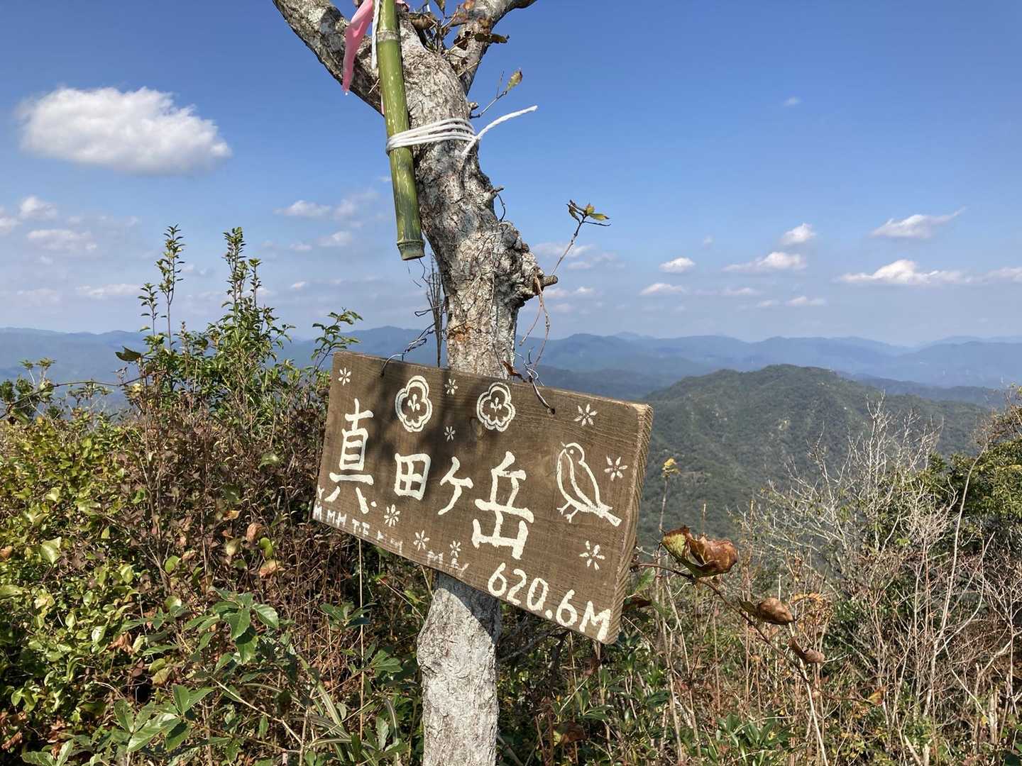 てっぺん