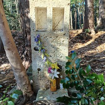 山名板見つからず。(本当は富士山にも小籔山にもあるが、たなご氏はすぐに見逃す)

この辺が小籔山山頂かな。
名前にビビったけどヤブ感なし。
警戒されるので籔無山とかにしたほうがいいですよ。