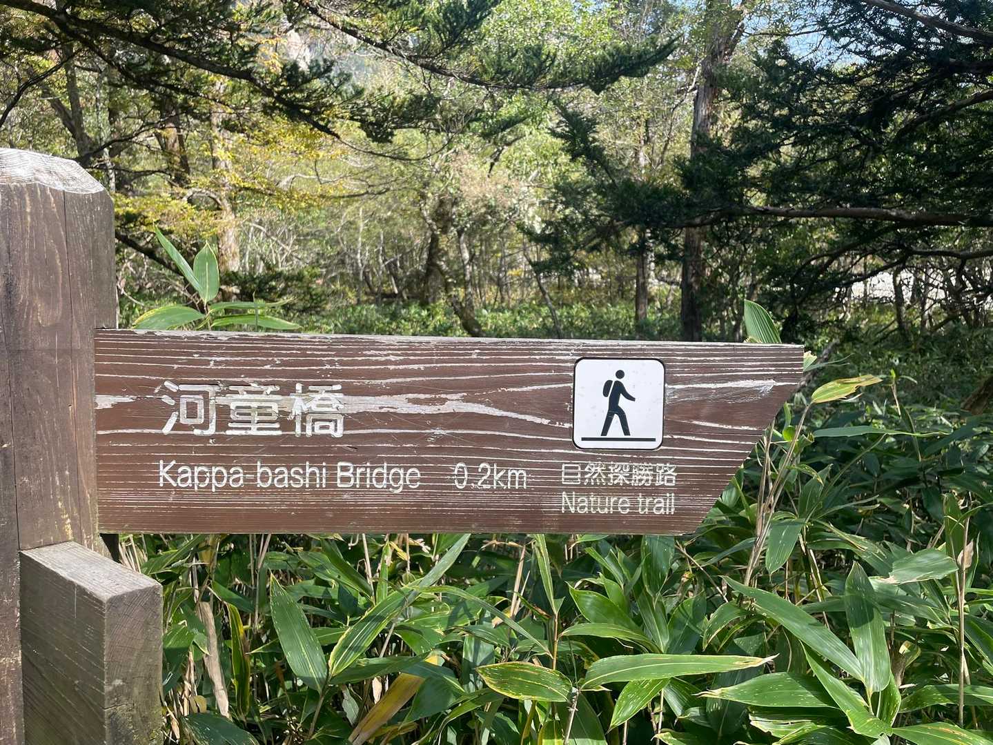 上高地バス停-河童橋-小梨平-明神橋-岳沢湿原 周回コースの写真