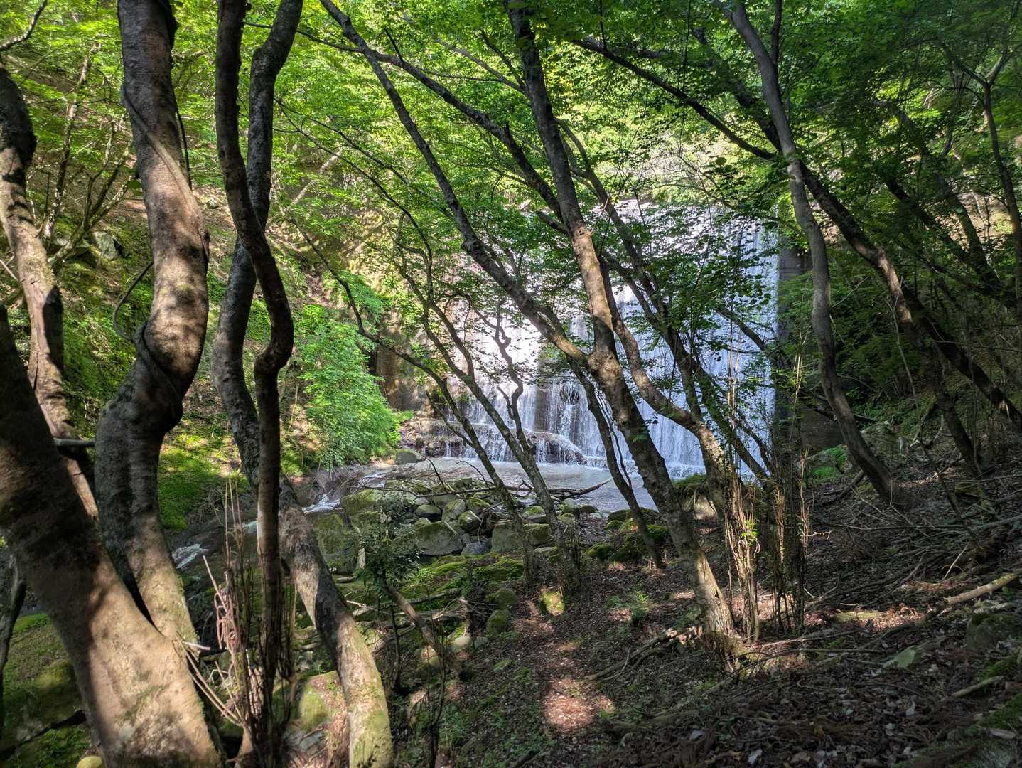 次の堰堤見えました。
白糸の滝のようでなかなか綺麗。