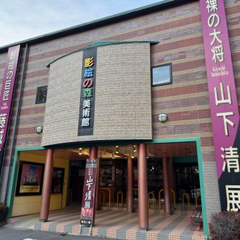 山下清展が見たくて来ましたが
常設展の影絵が素晴らしく感動しました。