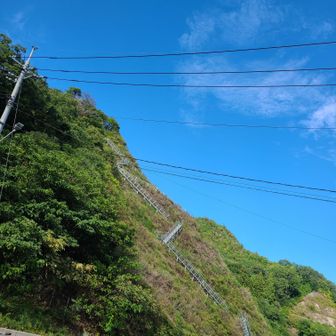 数えたら262段でした👣