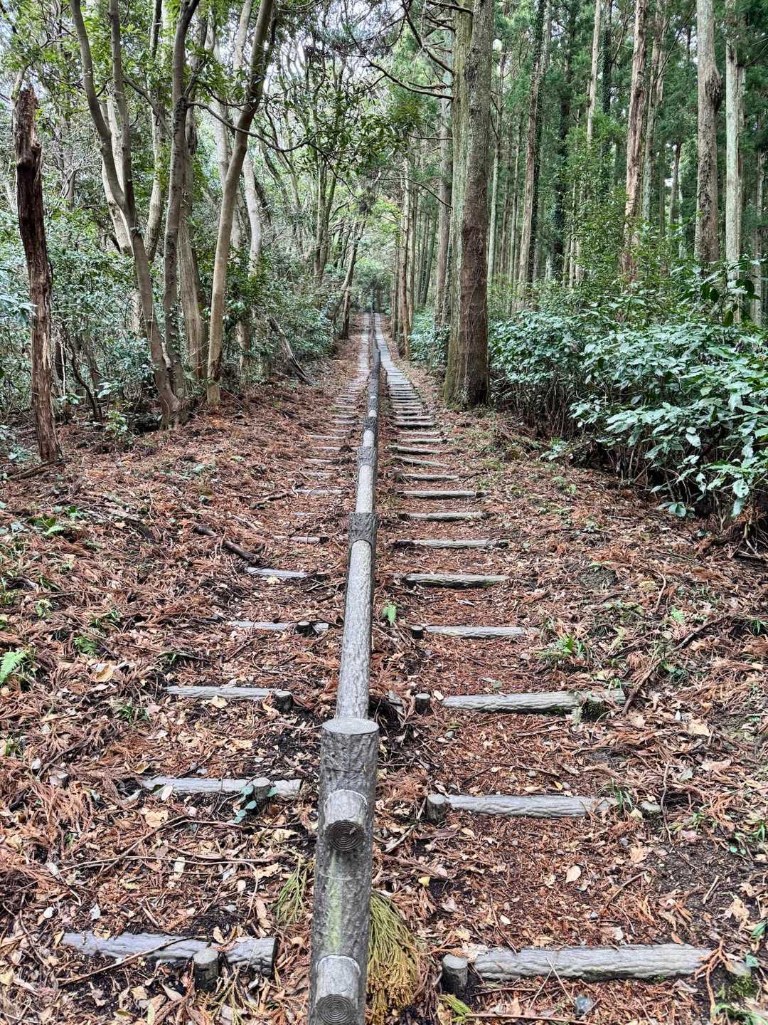 大日山へ最後の直登😵‍💫