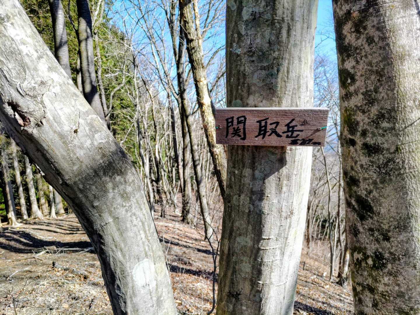 関取岳登頂！