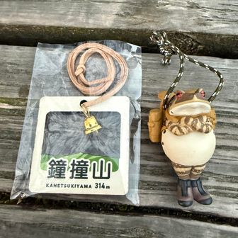 無事カエルさんもドヤ顔🐸

手に取ると本当に可愛い木札で…
マジで嬉しい☺️
大切にします🙏