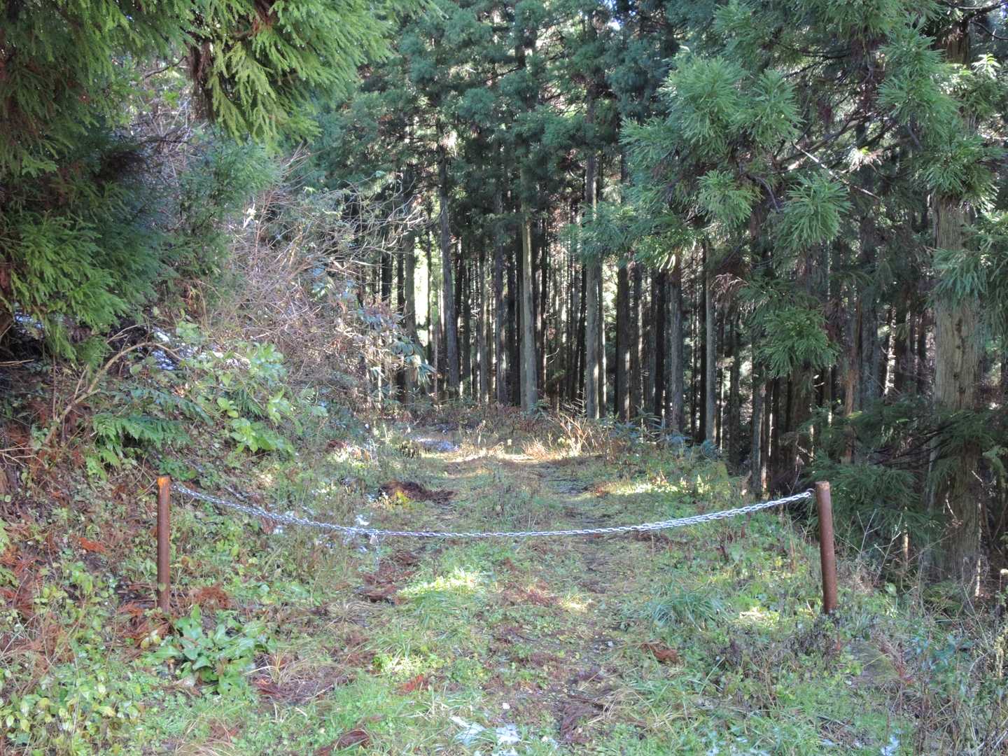 鎖を跨いで暫く作業道を歩きます。😅