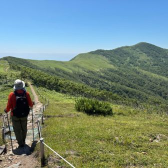 なんか　四国の山の縦走路みたい