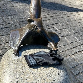 ムササビくん
手袋は誰かの落とし物？