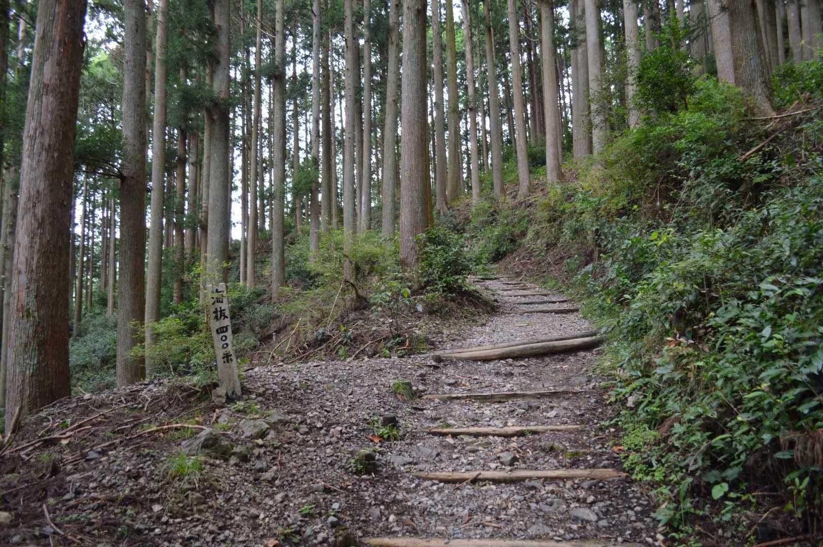 この辺りから涼しく感じました😄