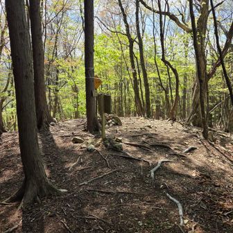 砥山山頂（1,302m）