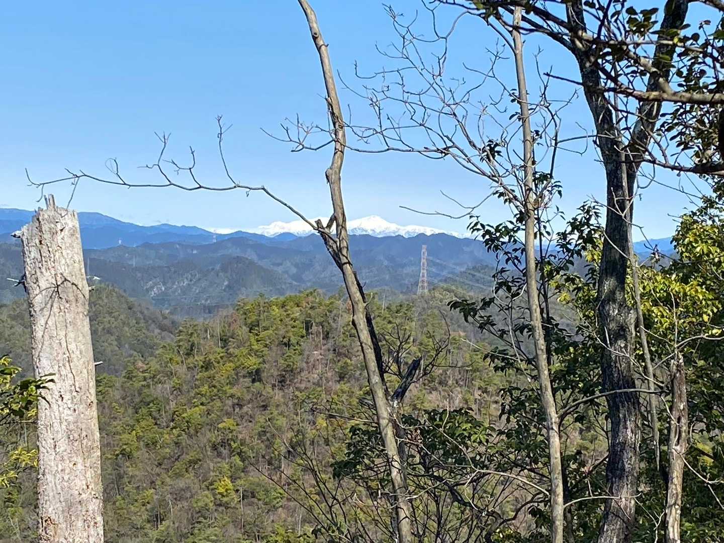 遠く白山が望む⛰️