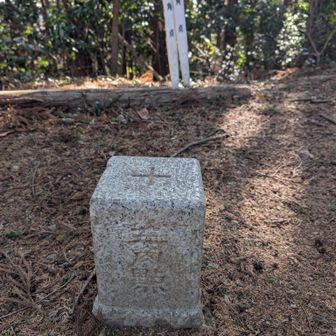 少し行くと、1等三角点
埼玉県に11ケ所ある1等三角点のうちの一つ
