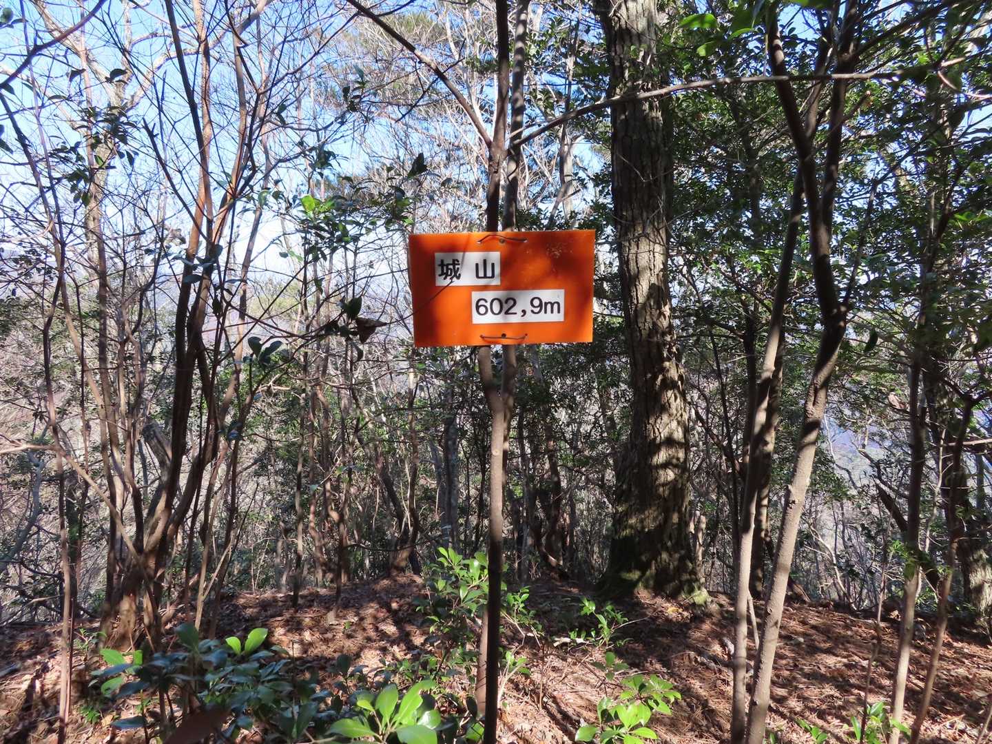 城山山頂