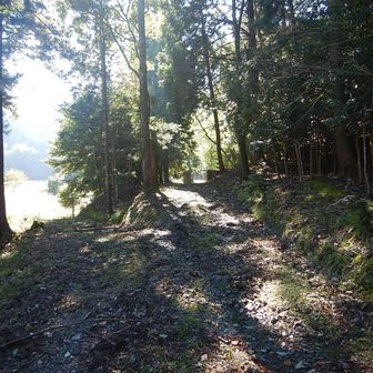 登山道は歩きやすい🤗