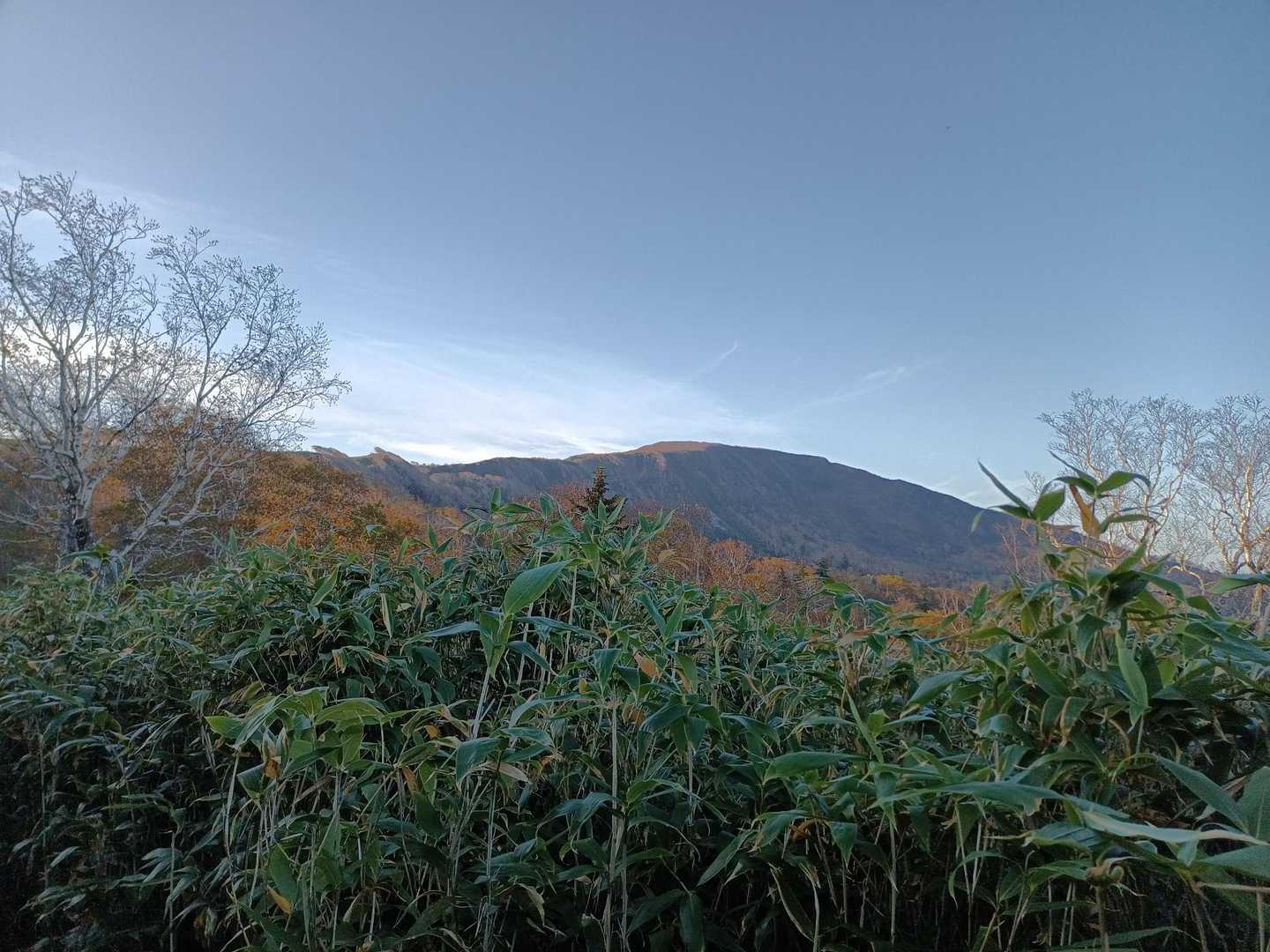 無意根山キレイ