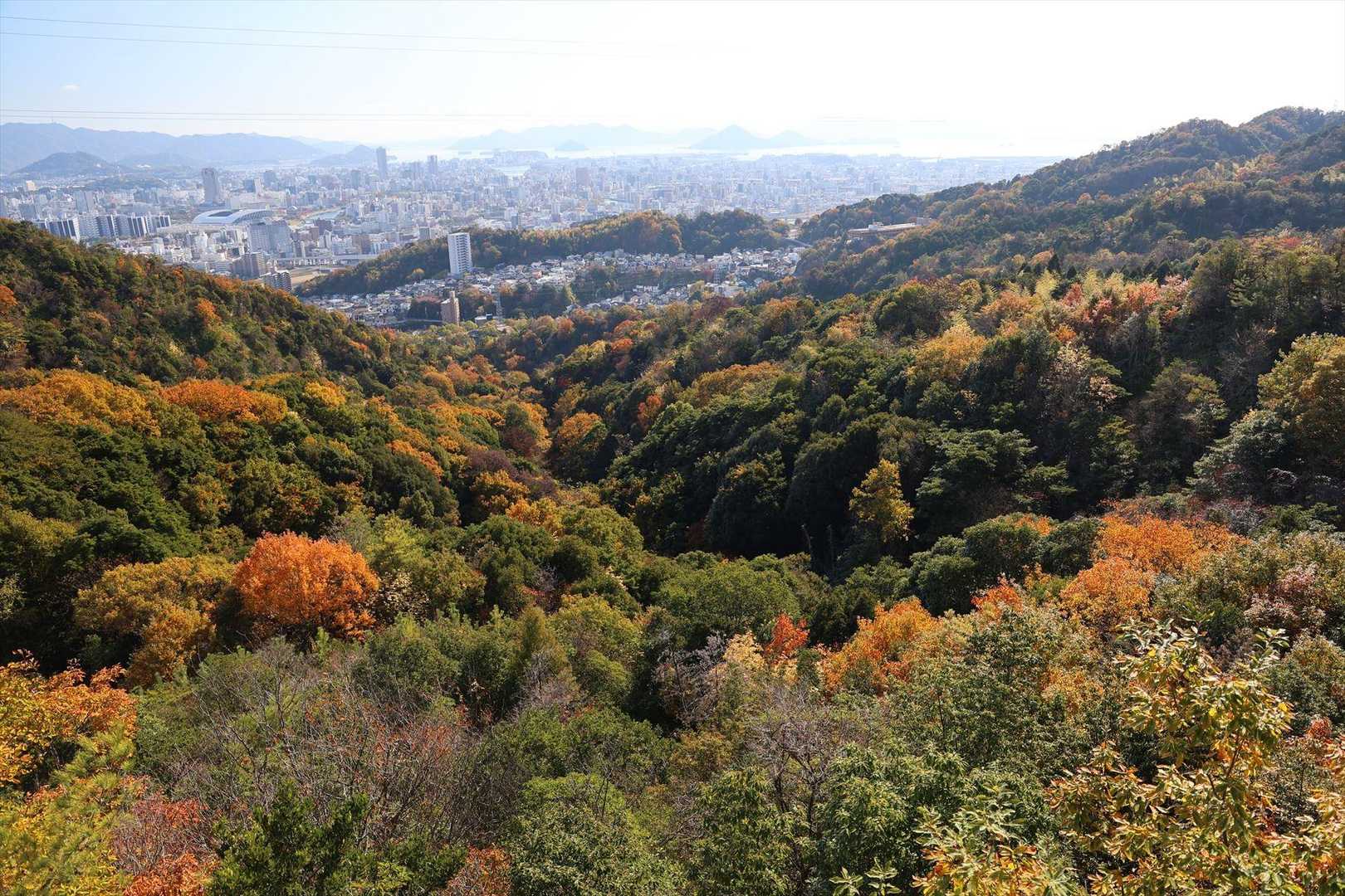 広島市街と瀬戸内海の絶景を楽しむ宗箇山の写真
