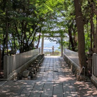 保久良神社の境内より。雰囲気が良い✨️