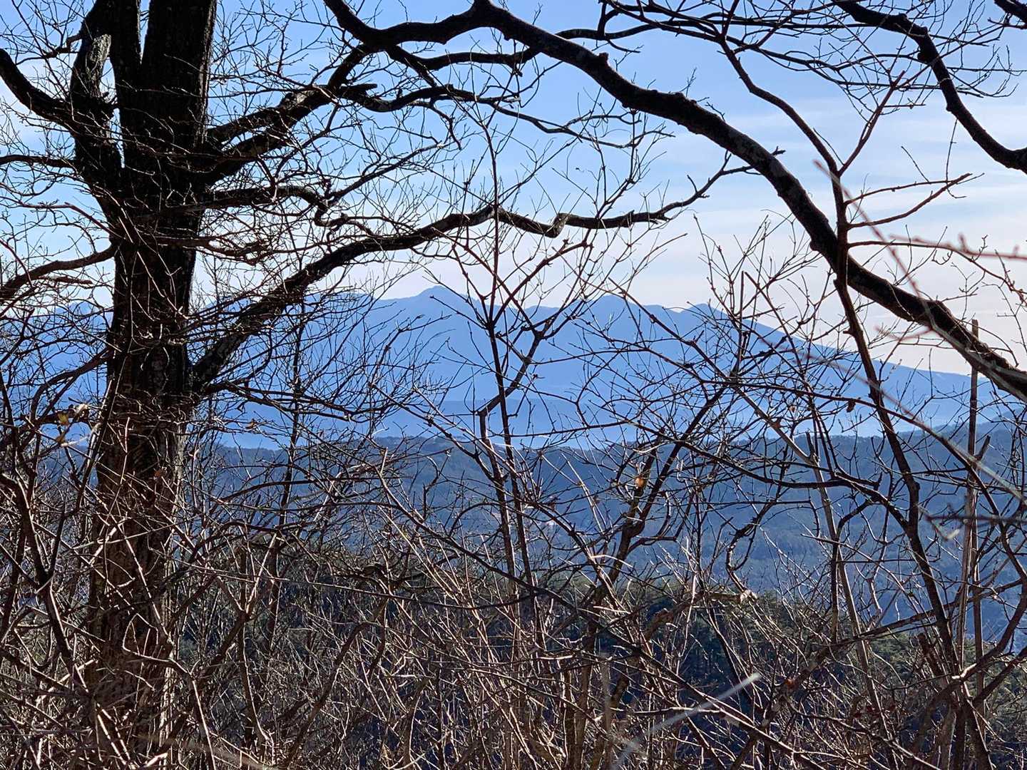 八ヶ岳