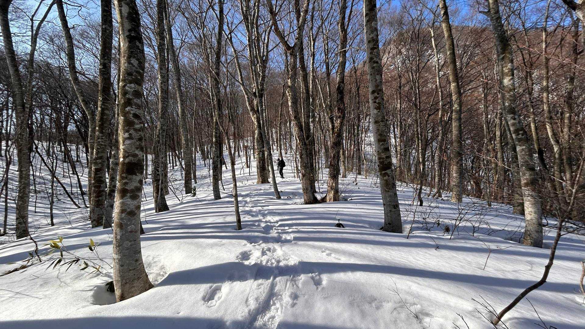 三方倉山 周回コースの写真